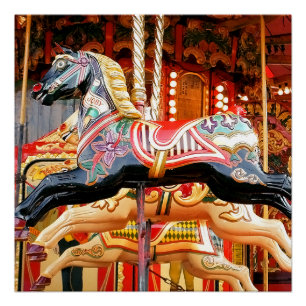 CAROUSELPAARD PERFECT POSTER