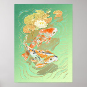 Carp Koi Fish Water Lily Pond Poster
