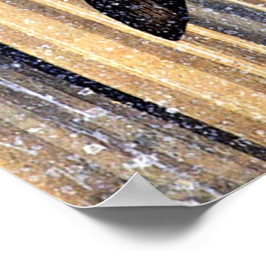 Carp Leaping up a Cascade by Hokusai Poster (Hoek)