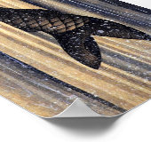 Carp Leaping Up Waterfall Hokusai Fine Art Poster (Hoek)