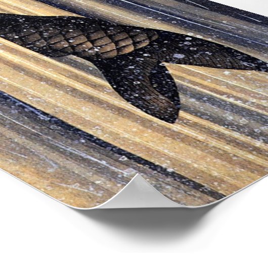 Carp Leaping Up Waterfall Hokusai Fine Art Poster (Hoek)