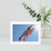 Carp Streamers (Koinobori): Tokio, Japan Briefkaar Briefkaart (Staand voorkant)