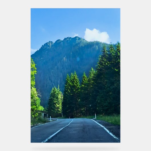 Carpathian Forest Road – Roemeense bergprint Acryl Bord (Voorkant)