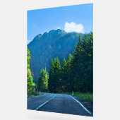 Carpathian Forest Road – Roemeense bergprint Acryl Bord (Hoek)