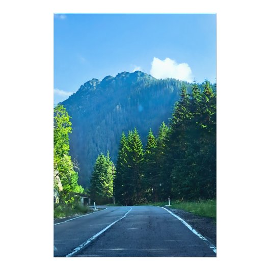 Carpathian Forest Road – Roemeense bergprint Foto Afdruk (Voorkant)
