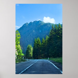 Carpathian Forest Road – Roemeense bergprint Poster
