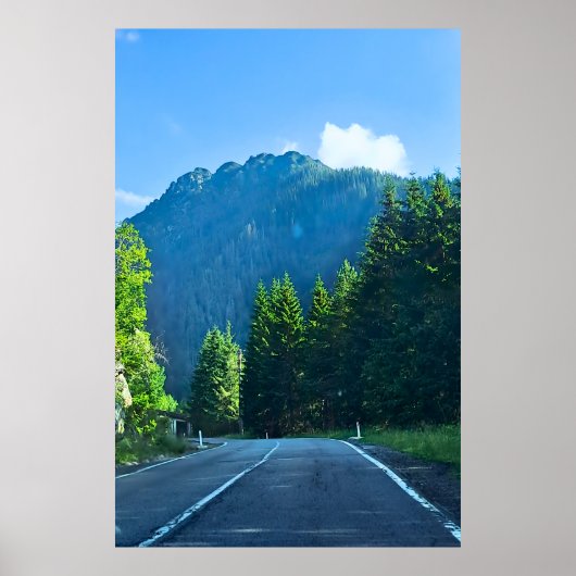 Carpathian Forest Road – Roemeense bergprint Poster (Voorkant)