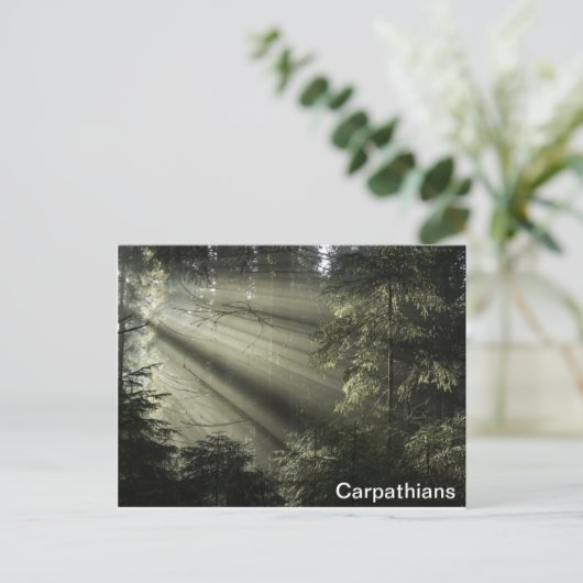 Carpathians mystisch bos briefkaart (Staand voorkant)