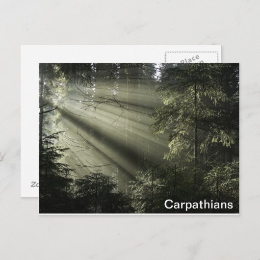 Carpathians mystisch bos briefkaart (Voorkant / Achterkant)
