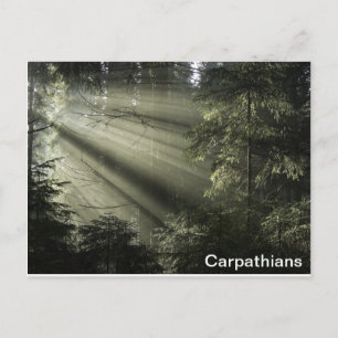 Carpathians mystisch bos briefkaart