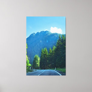 Carpatische Bosweg – Roemeense Bergprint Canvas Afdruk
