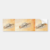 carpdiem-bumpersticker bumpersticker (Voorkant)
