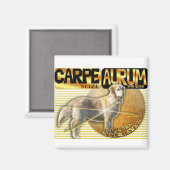 CARPE AURUM LATIN GRIJP DE GOUDEN RETRIEVER MAGNEET (Voorkant / Achterkant)