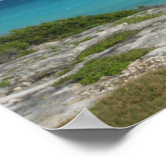 Carpe Diem Beach Poster (Hoek)