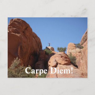 Carpe Diem! Briefkaart