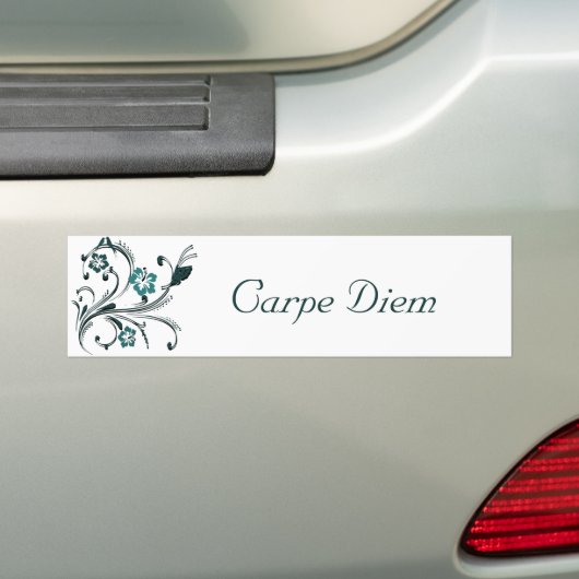 Carpe Diem Bumpersticker (Op auto)