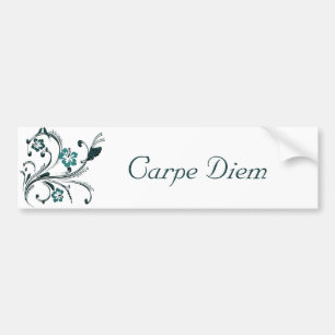 Carpe Diem Bumpersticker