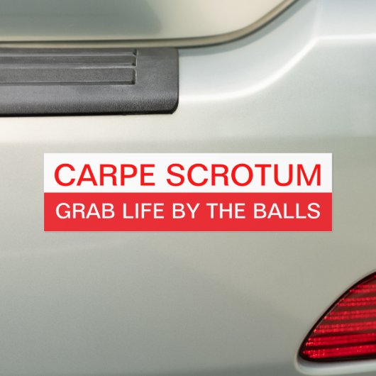 Carpe Diem? Bumpersticker (Op auto)