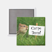 Carpe Diem Chipmunk Magnet (Voorkant / Achterkant)