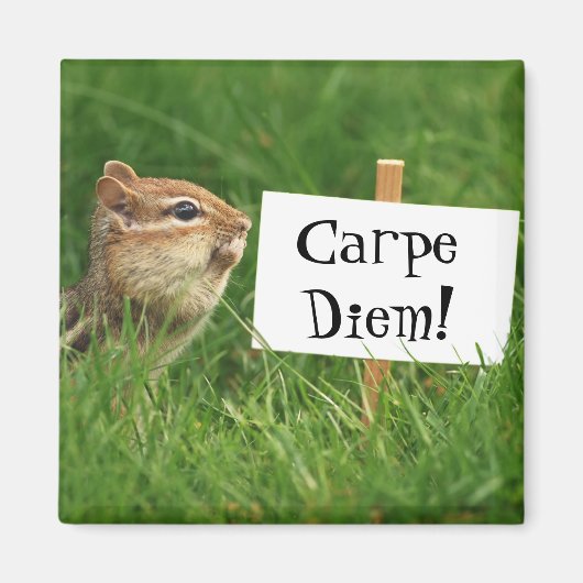 Carpe Diem Chipmunk Magnet (Voorkant)