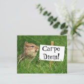 Carpe Diem! Chipmunk met gebarentaal Briefkaart (Staand voorkant)