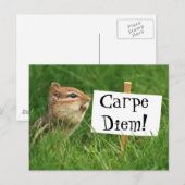Carpe Diem! Chipmunk met gebarentaal Briefkaart (Voorkant / Achterkant)