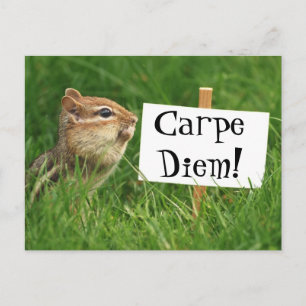 Carpe Diem! Chipmunk met gebarentaal Briefkaart
