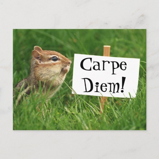 Carpe Diem! Chipmunk met gebarentaal Briefkaart (Voorkant)
