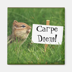 Carpe Diem! Chipmunk met gebarentaal Magneet