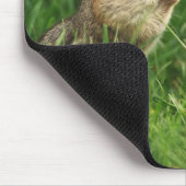 Carpe Diem! Chipmunk met gebarentaal Muismat (Hoek)