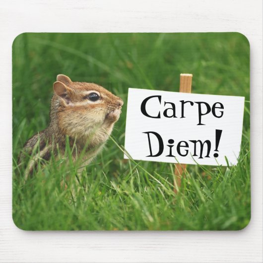 Carpe Diem! Chipmunk met gebarentaal Muismat (Voorkant)
