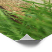 Carpe Diem Chipmunk met Sign Poster (Hoek)