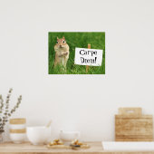 Carpe Diem Chipmunk met Sign Poster (Keuken)