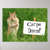 Carpe Diem Chipmunk met Sign Poster (Voorkant)