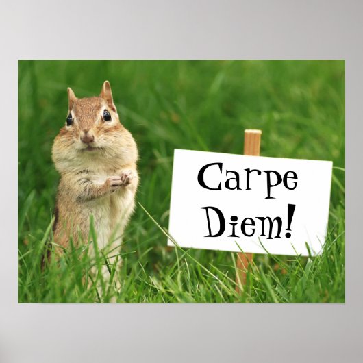Carpe Diem Chipmunk met Sign Poster (Voorkant)