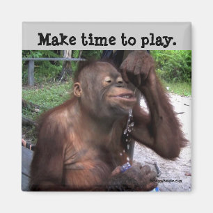 Carpe Diem Cute Wildlife Magneet