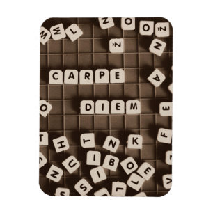 Carpe Diem gecramde Letter-bestanden Magneet
