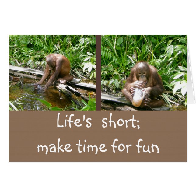 Carpe Diem geniet van het leven (Voorkant Horizontaal)