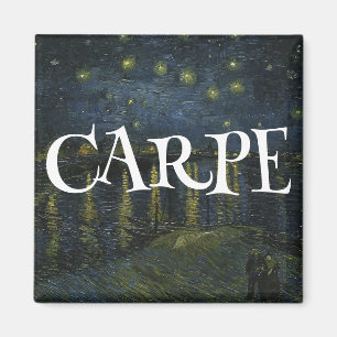 CARPE DIEM GRIJP HET MOMENT MAGNEET
