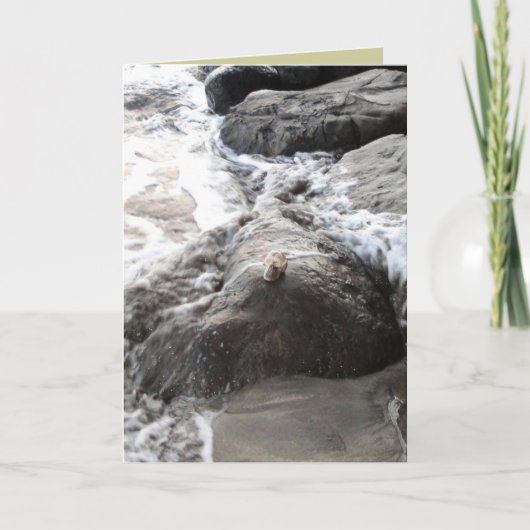 Carpe Diem Kaart (Voorkant)