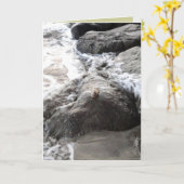 Carpe Diem Kaart (Gele Bloem)