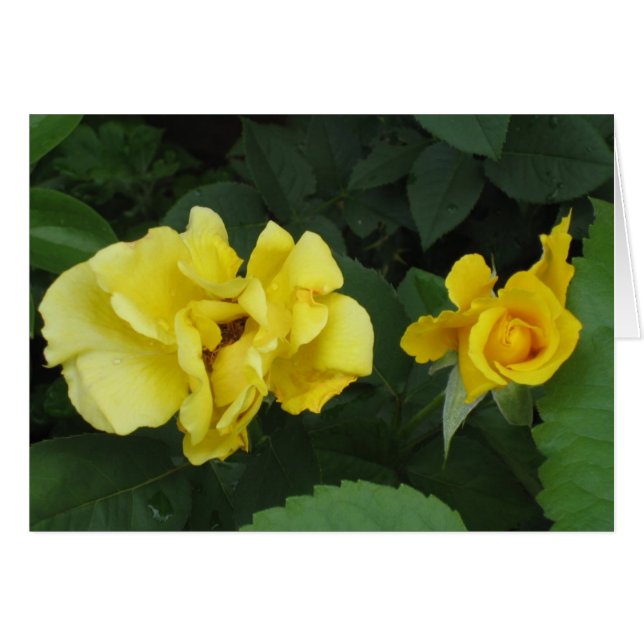 carpe diem-kaart (Voorkant Horizontaal)