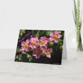 Carpe Diem… Kaart (Voorkant)