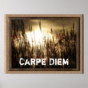 Carpe Diem - kunstposterprint Poster