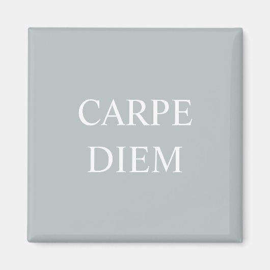 Carpe Diem Latijnse Citaat Magnet (Voorkant)