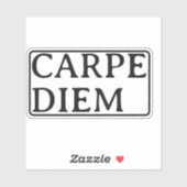 Carpe Diem Latijnse quote sticker (Vel)