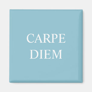 Carpe Diem Latin Quote Magnet - Turquoise
