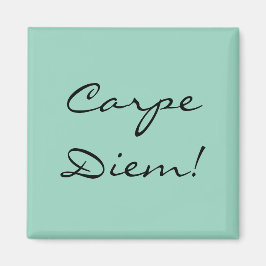 Carpe Diem magneet