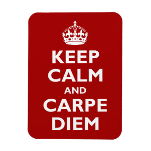 Carpe Diem! Magneet