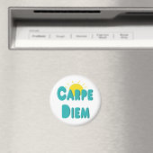Carpe Diem Magneet (Insitu (Vaatwasser))